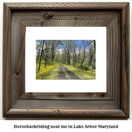 horseback riding near me in Lake Arbor, Maryland